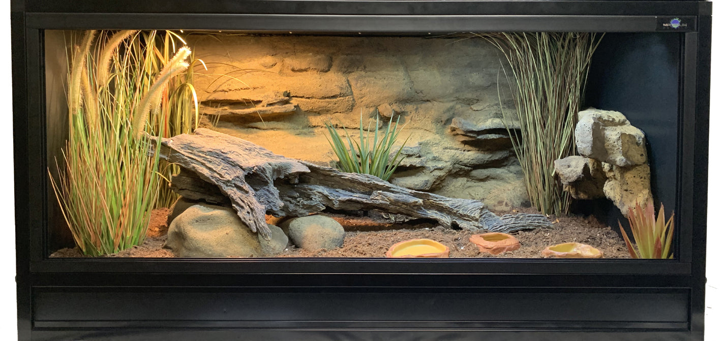 Reptiles Habitat Design – Minimalistic, Simplistic or Naturalistic -  Updated –