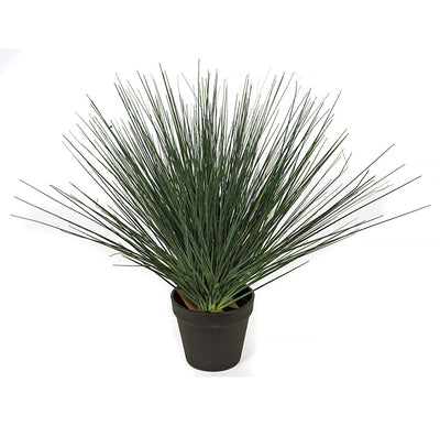 18 Inch Potted Mixed Onion Grass Bush - Green/Blue