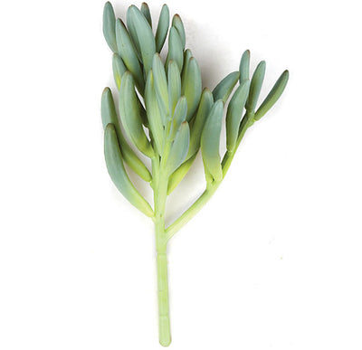 Succulent Pick - Green/Grey - 11 Inch