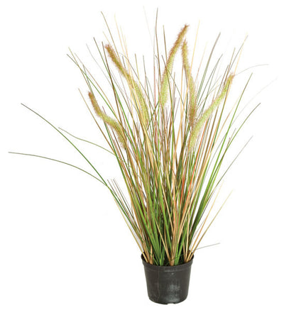 Foxtail and Onion Grass - 24 Inch