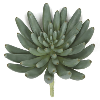 Succulent Pick - 5.5 Inch