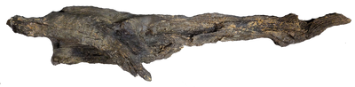Reptile Basking Log - 39 Inch