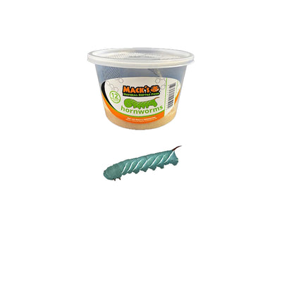 Mack's Natural Reptile Food offers live Hornworms in lots of 12