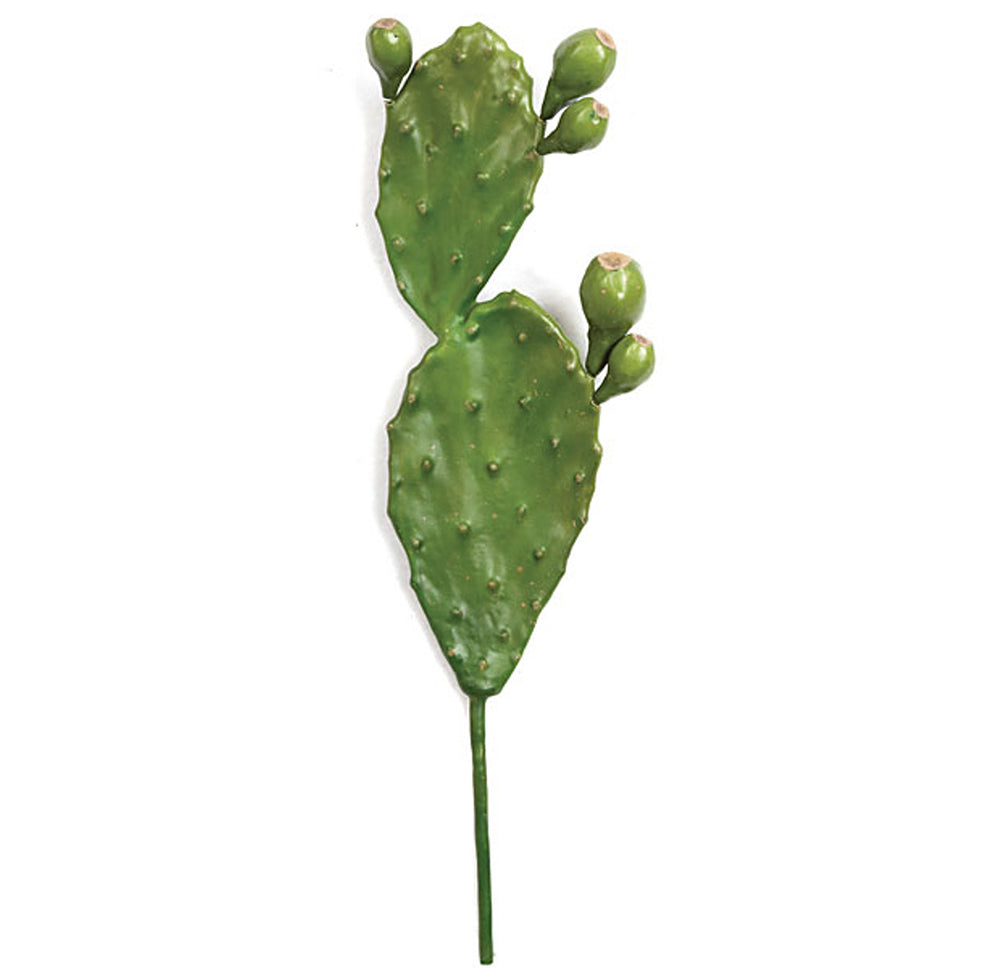 21 Inch Prickly Pear Cactus
