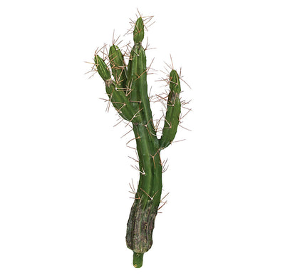 21.5 Large Cactus Plant