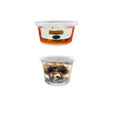 Mack's Natural Reptile Food offers live medium Dubia roaches in lots of 25 and 250