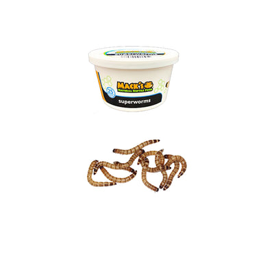 Mack's Natural Reptile Food offers live Superworms in 25 lots