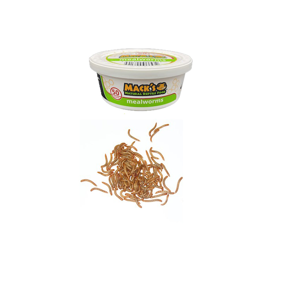 Mack's Natural Reptile Food offers live Mealworms in 50 lots