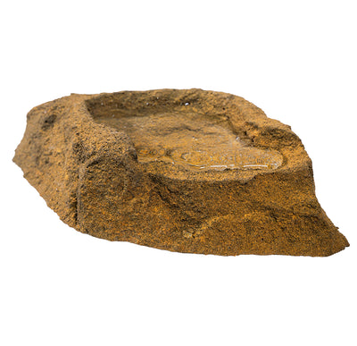 Reptile Rock Water Bowl - RB-001 - With Water