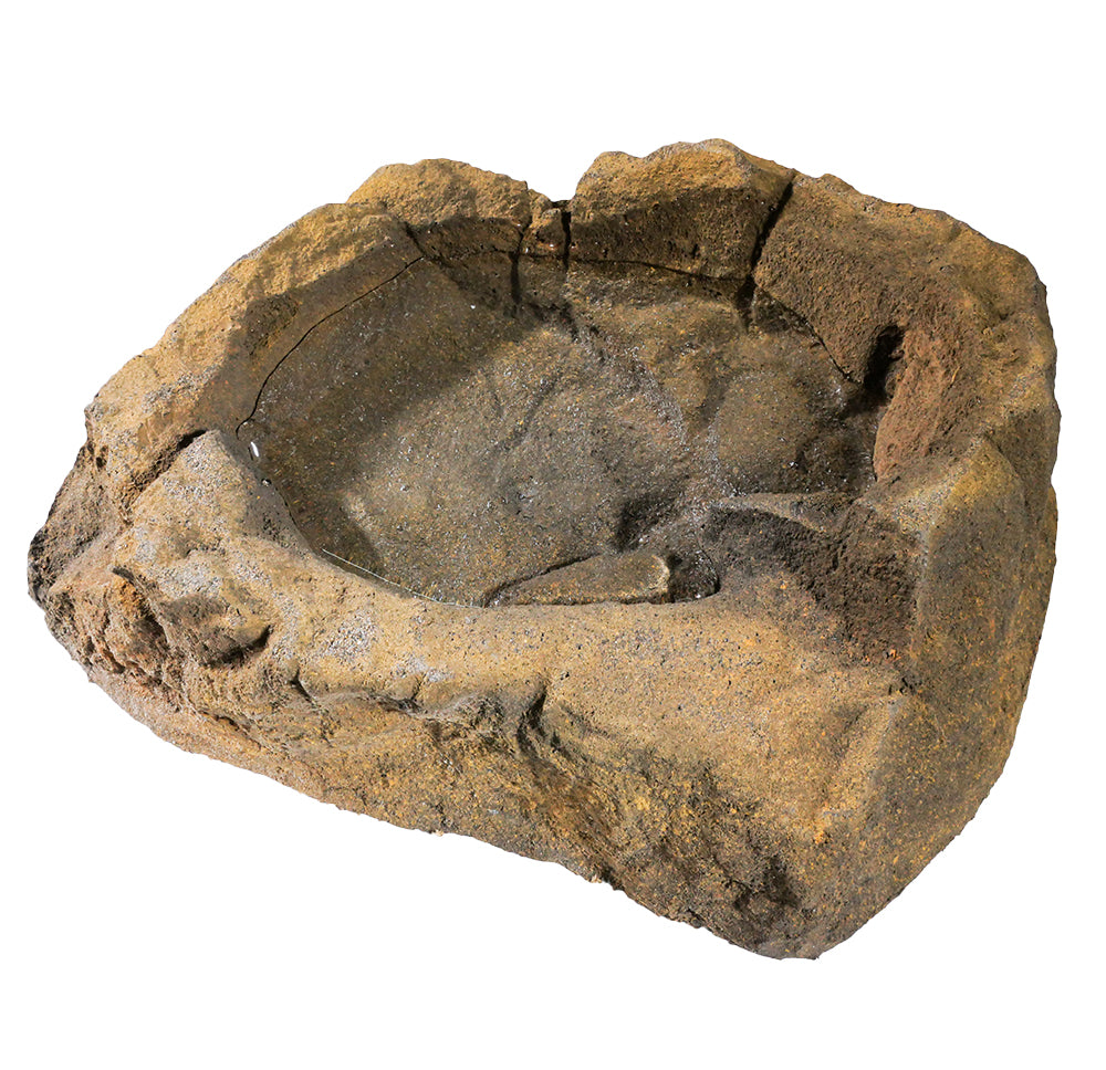 Reptile Rock Water Bowl - RB-006 - With Water 2