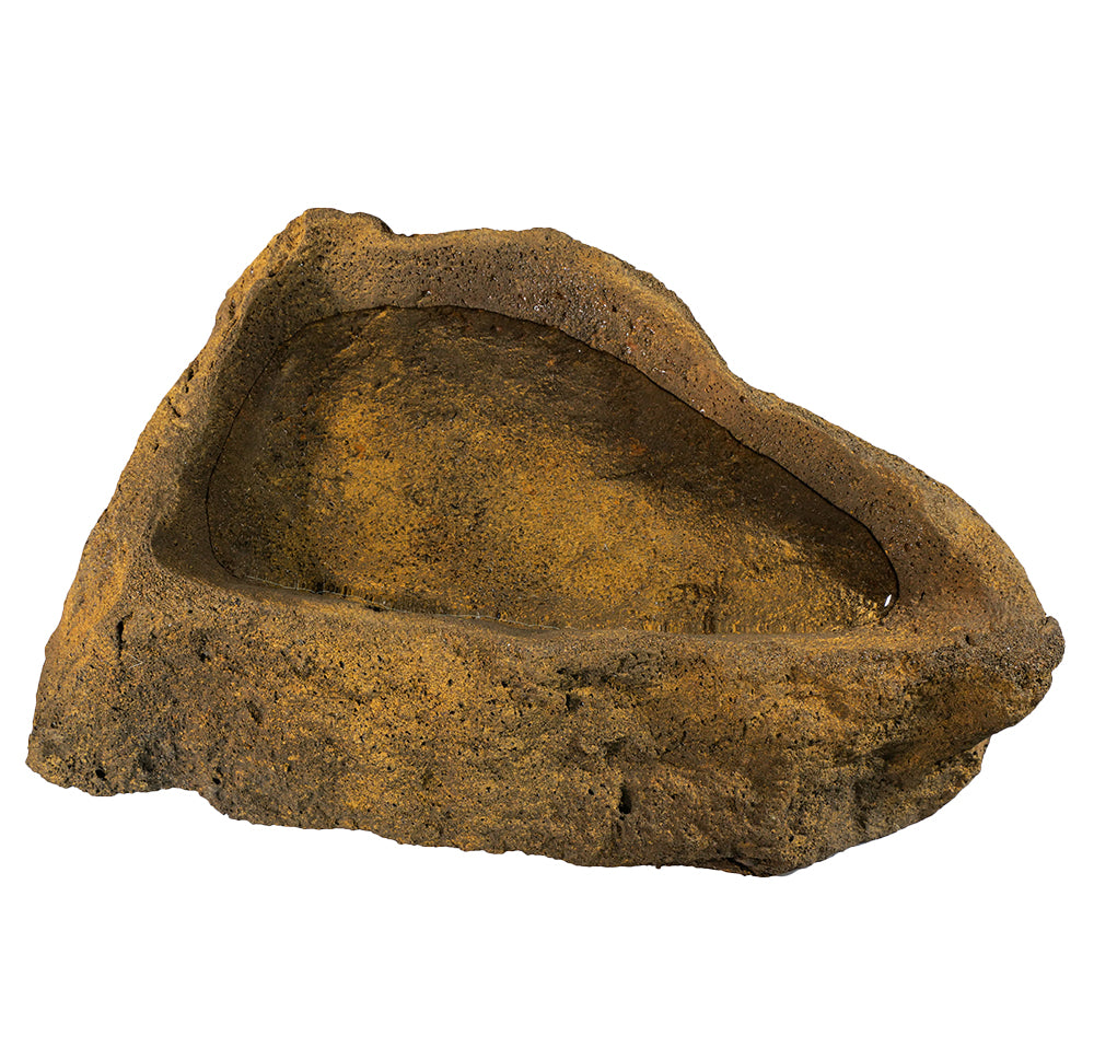 Reptile Rock Water Bowl - RB-0011 - With Water 2