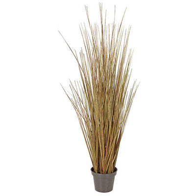 Onion Grass Bush - Brown/Green - 35 Inch