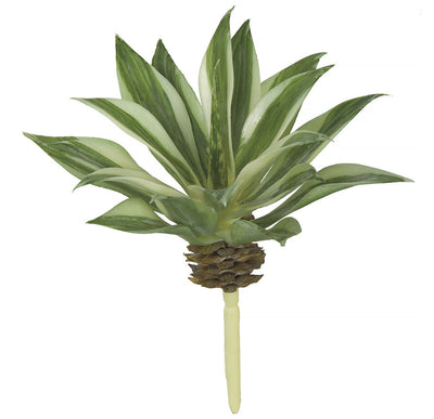 Variegated Agave Pick - Green/Cream - 6 Inch