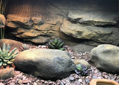 These artificial rocks are so realistic and perfect for reptiles 