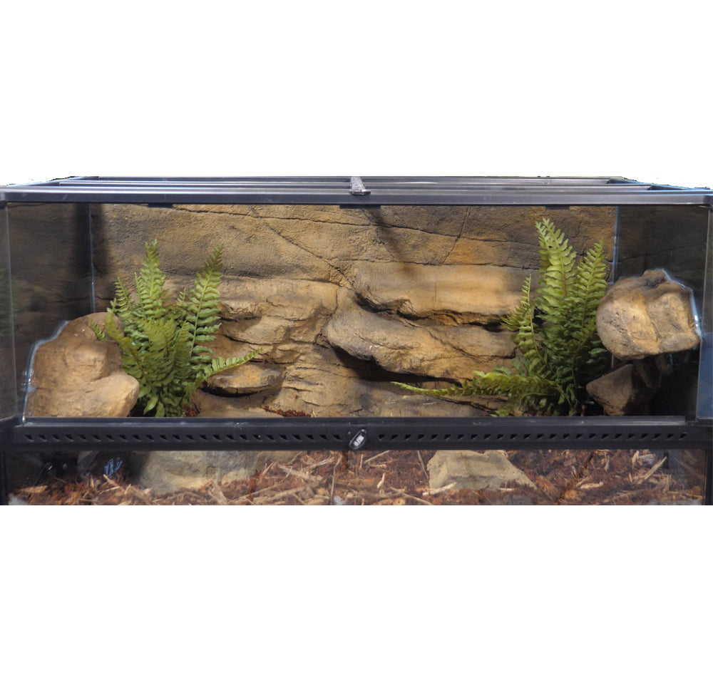 Snake Discovery 40 Gallon Tank Reptile Decor Kit - With Fern Plants