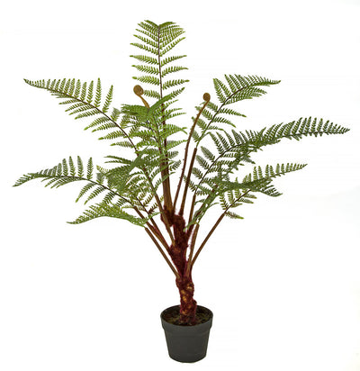 Large Potted Fern Plant - 40 Inch