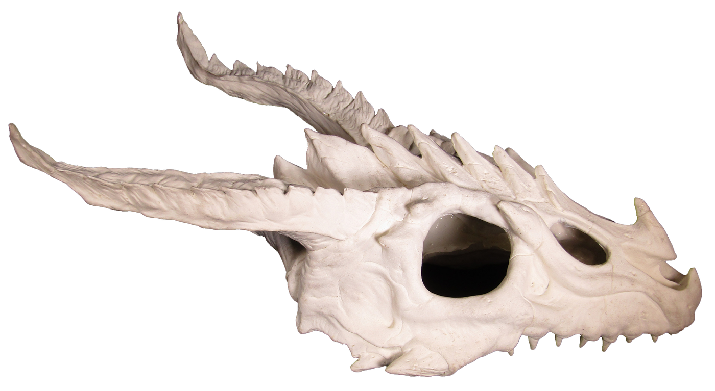 dragon skull large hide - side