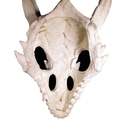 dragon skull large hide inside